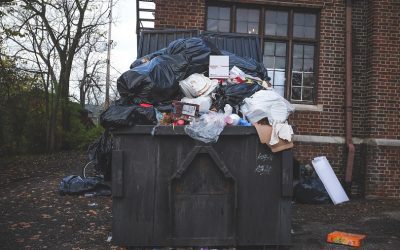 Looking for the Best Skip Hire Service for Effective Waste Management?