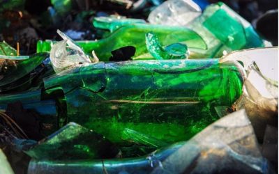 A Definitive Guide About Disposing of Glass Waste Responsibly